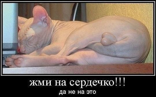 жми на сердечко да не на это