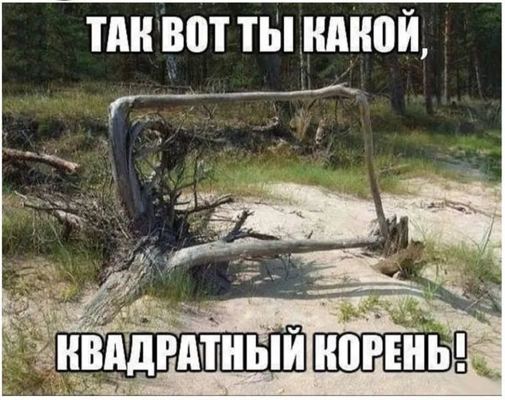 ПШ вот ты мной