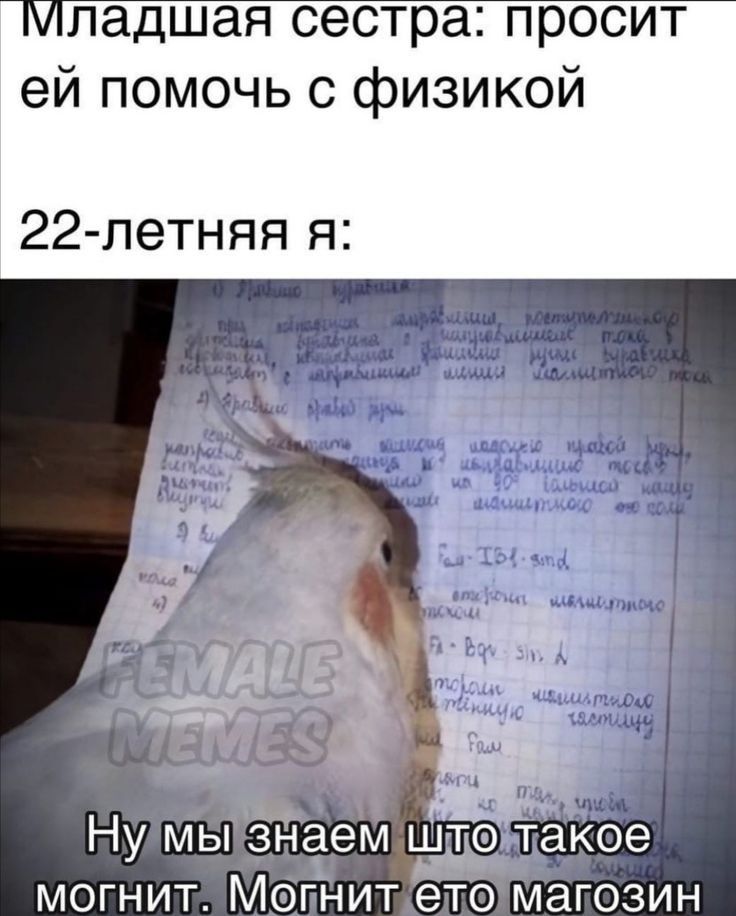 Младшая сестра просит ей помочь с физикой 22летняя я могнит Мбгйит т магозин