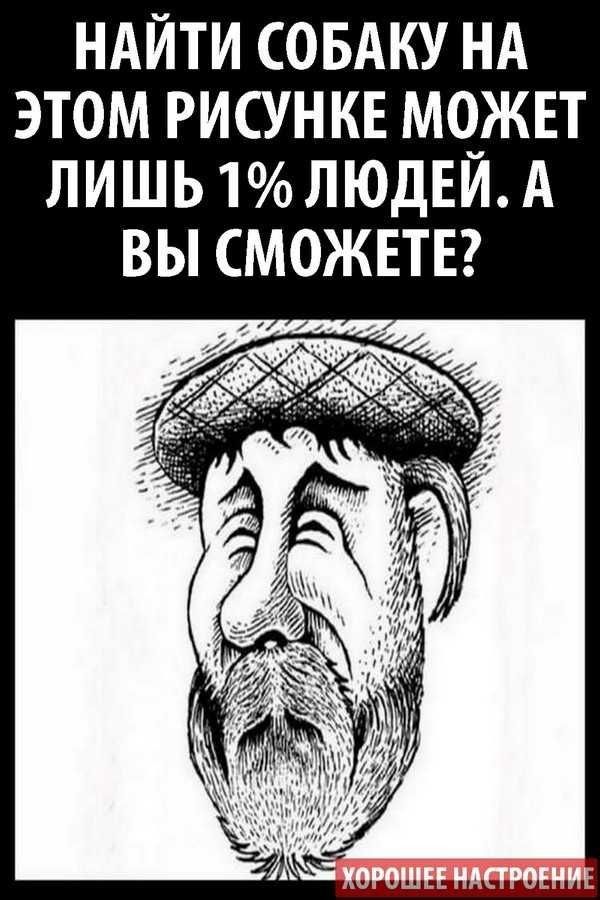 НАЙТИ СОБАКУ НА ЭТОМ РИСУНКЕ М0_ЖЕТ ЛИШЬ 1 ЛЮДЕИ А ВЫ МОЖЕТЕ