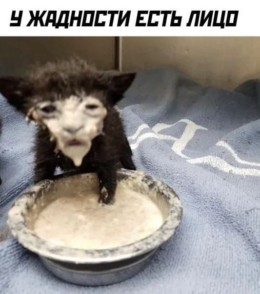 Н ЖддНПЬ ТИ ЕСТЬ ЛИЦП