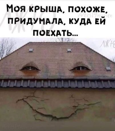 Моя крыши похоже придумдлм кУдА Ей повхдть