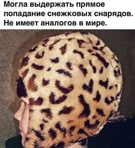 Могла выдержать прямое попадание снежковых снарядов Не имеет аналогов в мире