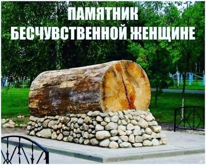 _ _ АчПМитии у вюччввтвшной тишине