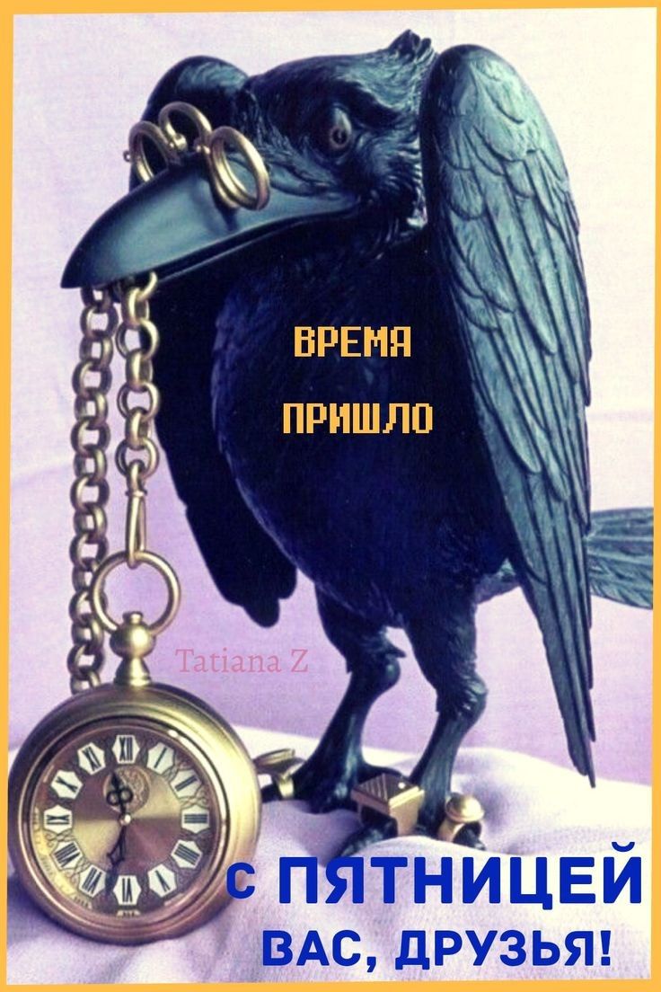 дРУЗЬЯ ВАС