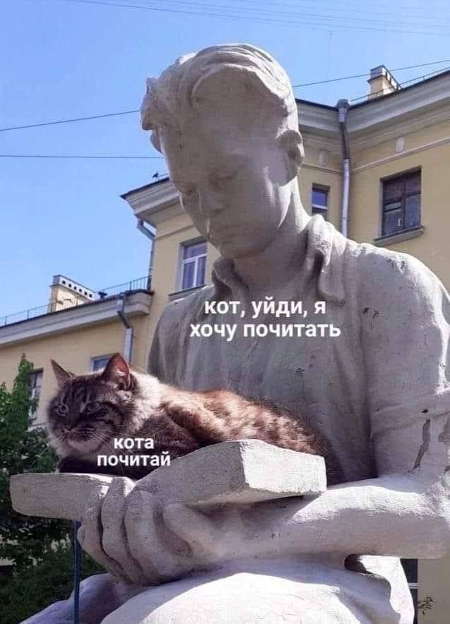 ГП кот уйди я хочу почитать почитай У