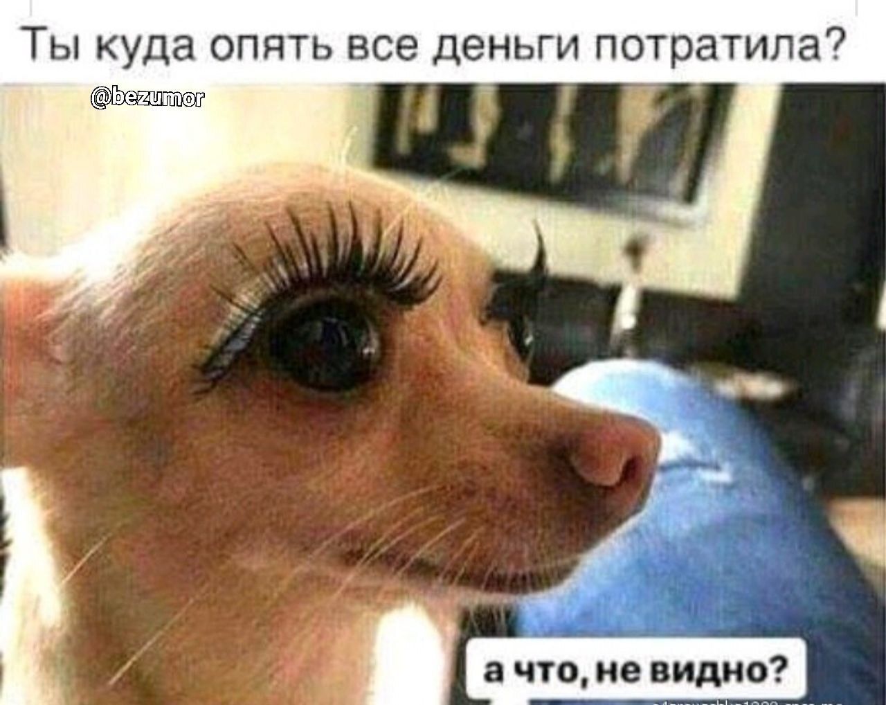 ТЫ Куда ОПЯТЬ все дЭНЬГИ потратила Щдісшш