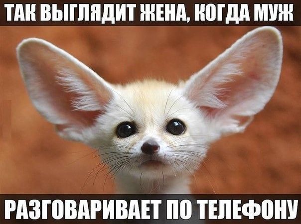 в ПШ ВЫПШДИТ ЖЕНА НМШ РПЗШВАРИВАП 0 ТШЕФВШ