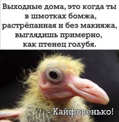 Выходные дома это когда ты в шмотках бомжа растрёпанная и без макияжа выглядишь примерно как птенец голубя