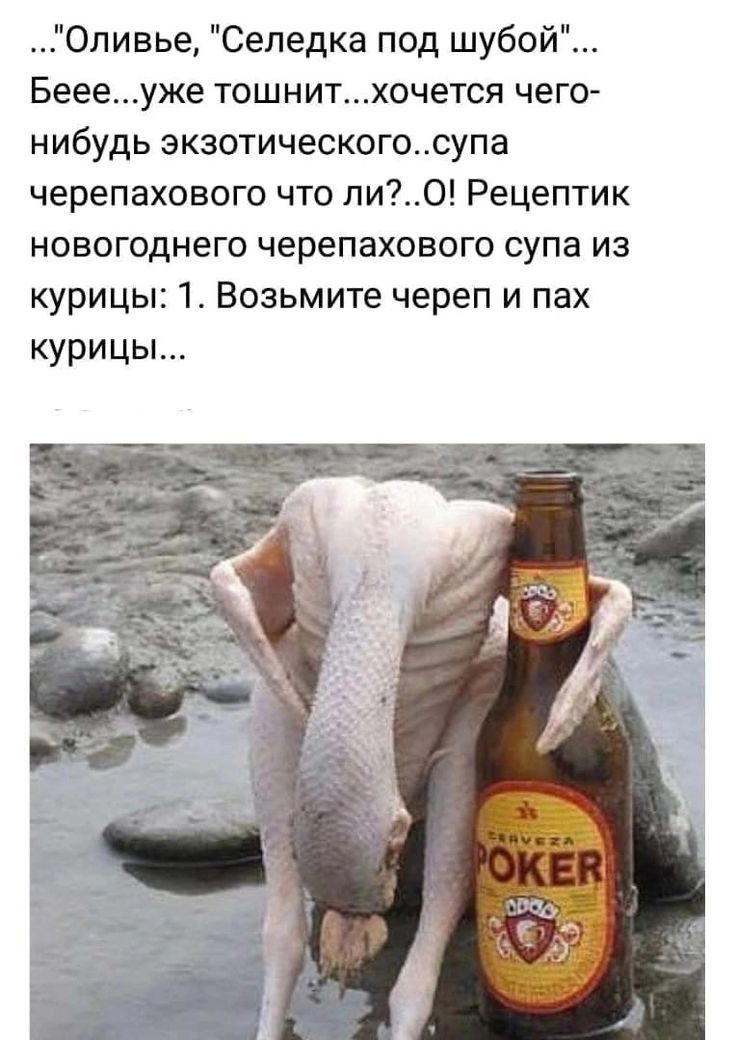 Опивье Селедка под шубои Беееуже тошнит_хочется чего нибудь экзотическогосупа черепахового что ли О Рецептик новогоднего черепахового супа из курицы 1 Возьмите череп и пах курицы