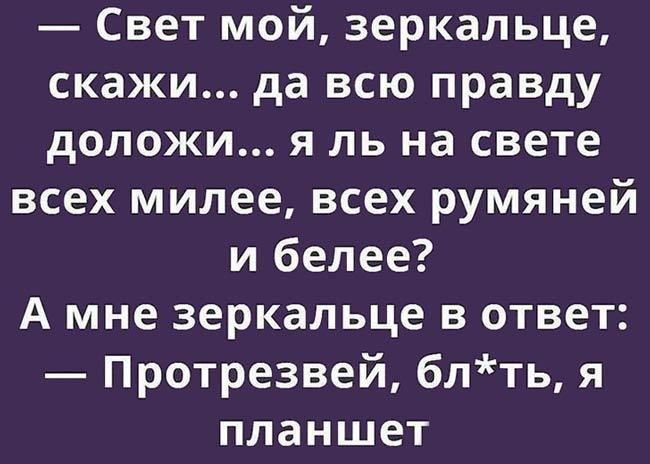 Свет мой зеркальце скажи да всю правду доложи я ль на свете всех милее всех румяней и белее А мне зеркальце в ответ Протрезвей 6лть я ПЛЗНШЕТ