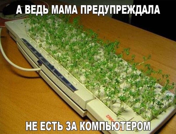 А ВЕДЬ МАМА ПРЕДУПРЕЖДАЛА г __ ч_ _ НЕ ЕБТЬ ЗА ЁЁП