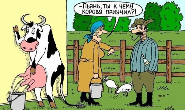 ьямьлы кчтч корова пришил