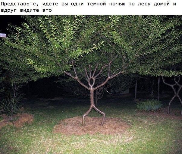 авьте идете вы одни т видите это
