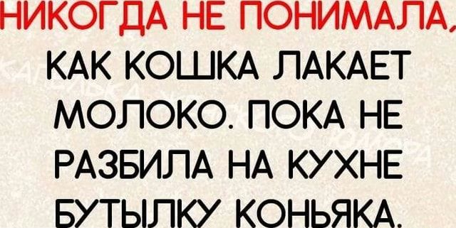 НИКОГДА НЕ ПОНИМАЛА КАК КОШКА ЛАКАЕТ МОЛОКО ПОКА НЕ РАЗБИЛА НА КУХНЕ БУТЫЛКУ КОНЬЯКА