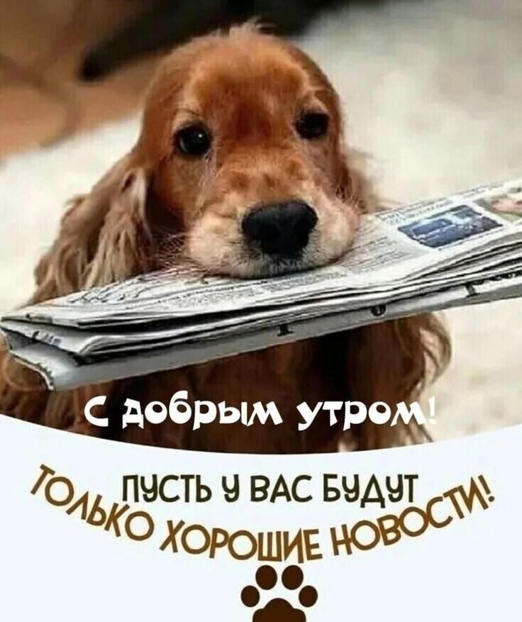 04 ПЧСТЬ Ч ВАС БЧАЧТ ЬЮ Хорошив Новое