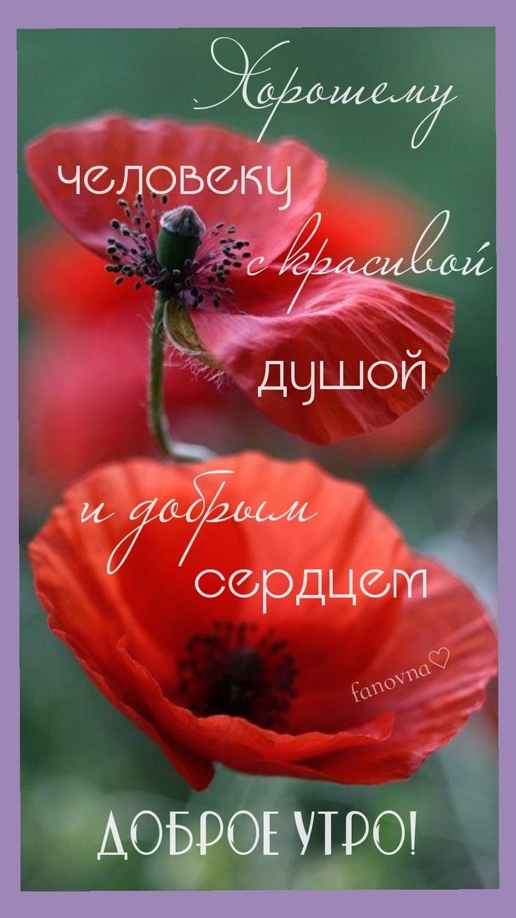 человек