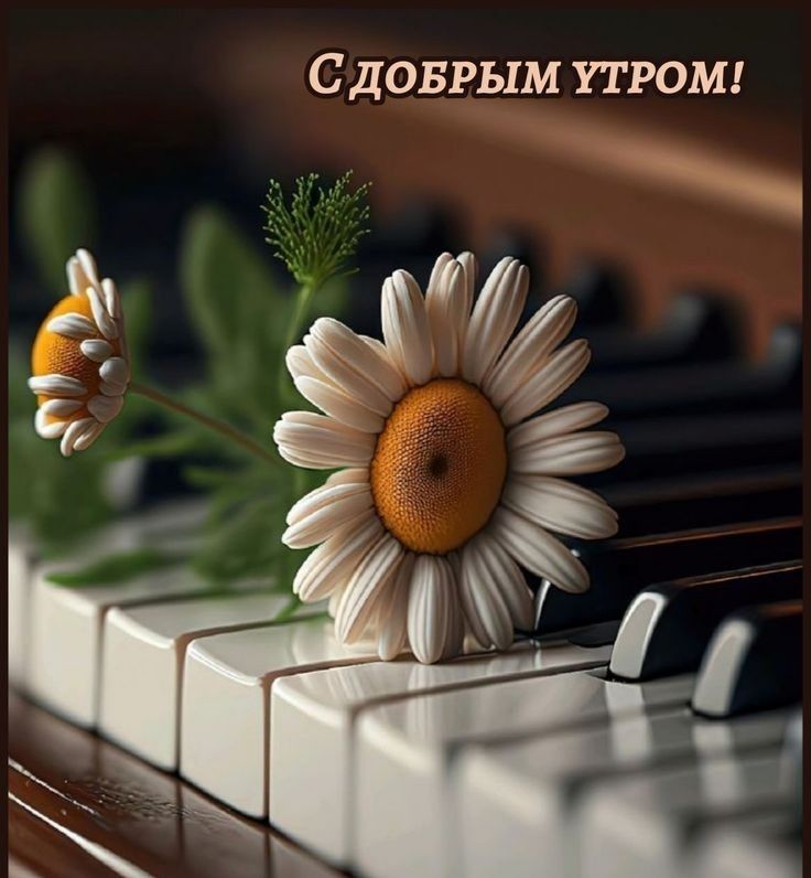 С доврым утром