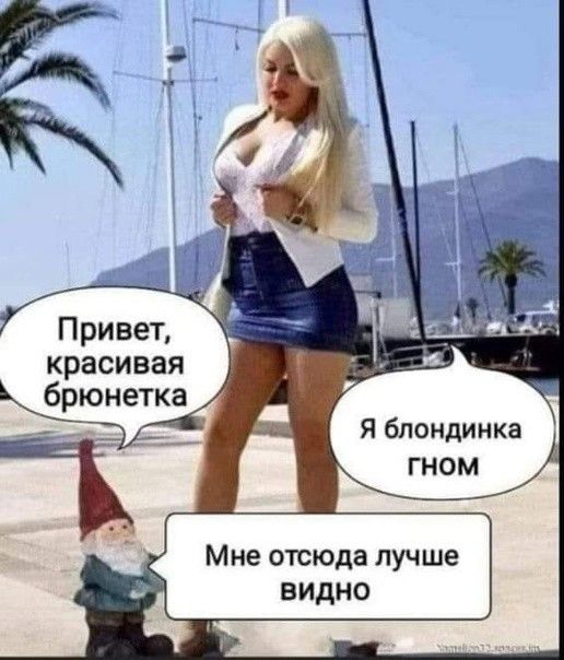 красивая брюнетка Я блондинка Мне отсюда лучше видно