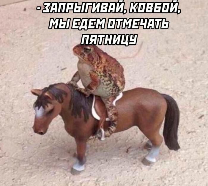 дпдыгивдй кпввпй птм5чдть