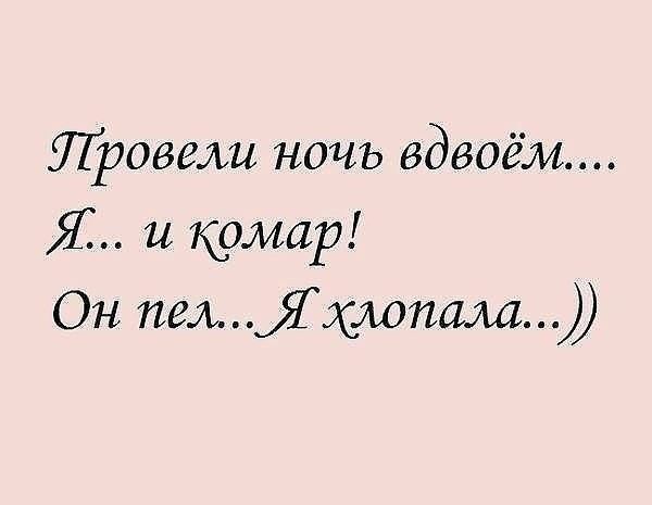 Провели ночь вдвоём Я и комар Он пелэсмпамш