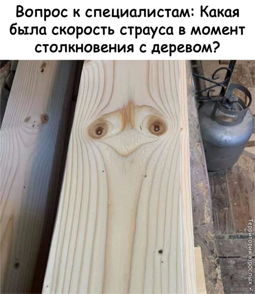 Вопрос к специалистам Какая была скорость страуса в момент столкновения с деревом 1