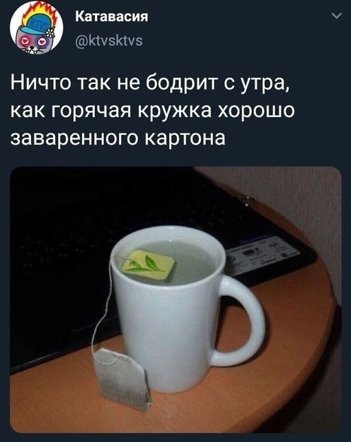 Квтанасия _ ЮчзКіхэ Ничто так не бодрит с утра как горячая кружка хорошо заваренного картона