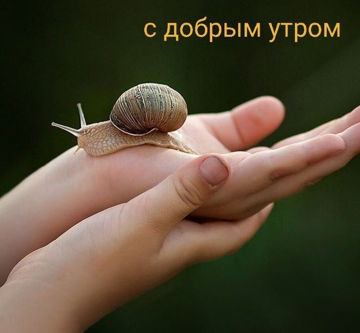 с добрым утром