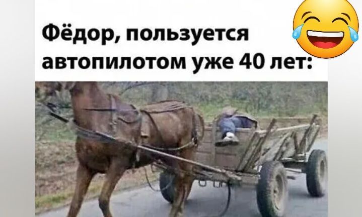 Фёдор пользуется автопилотом уже 40 лет