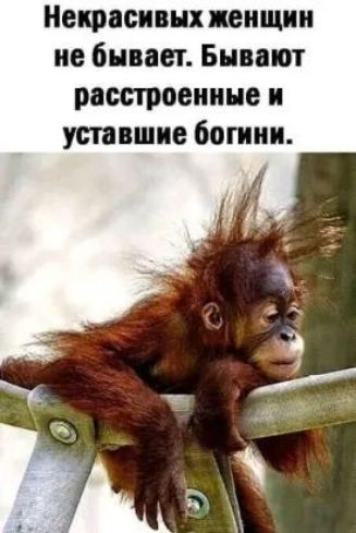 Некрасивнх женщин не бывает Бывают расстроенине и уставшие богини