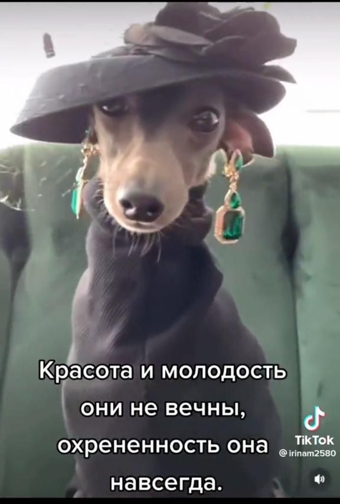 Красота и молодость они не вечны охрененность она тишины навсегда
