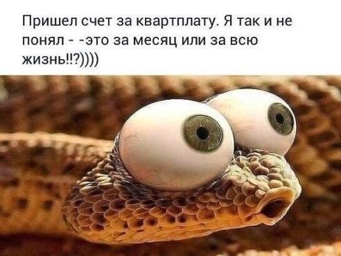 Пришел счет за квартплату Я так и не понял это за месяц или за всю жизнь