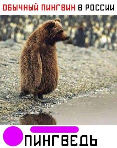 ПЦНГВЕПЬ