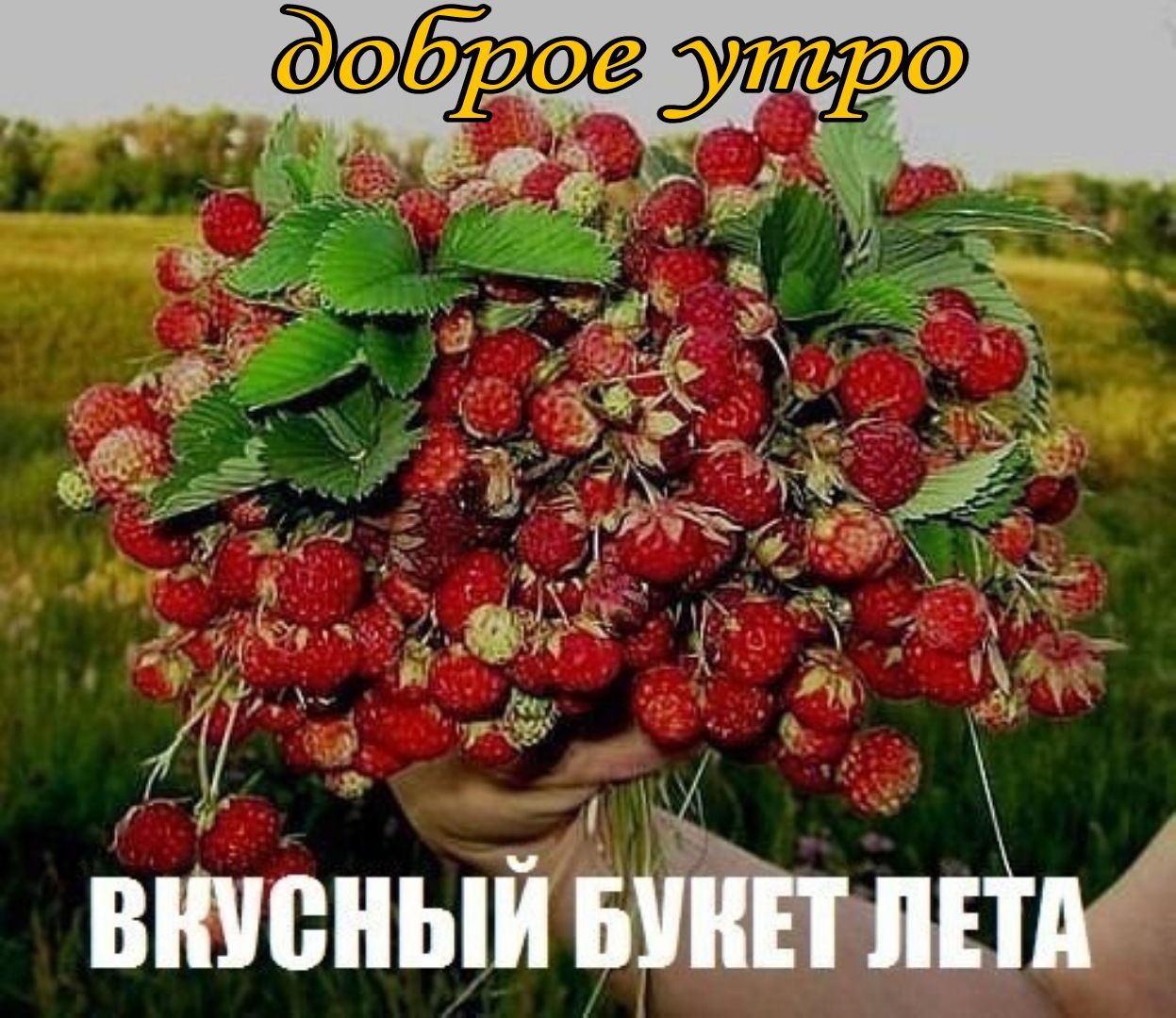 Г вшоныивтъшд