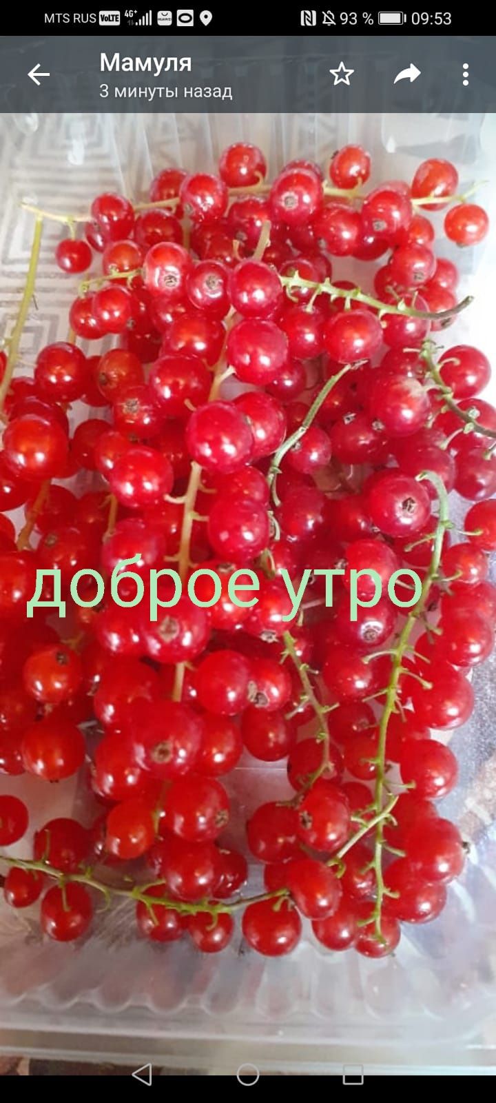 Ш1ШЕ Шгэз пхоч 53 _ Мамуля д 5 з мину гы назад