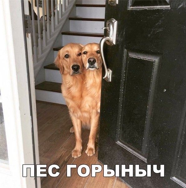 ш _ С Ш д і ___ъіжещія о гм міг Тюд _ Ч г 3 С Е
