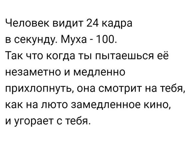 Человек видит 24 кадра в секунду Муха 100 Так что когда ты пытаешься её незаметно и медленно прихлопнуть она смотрит на тебя как на люто замедленное кино и угорает с тебя
