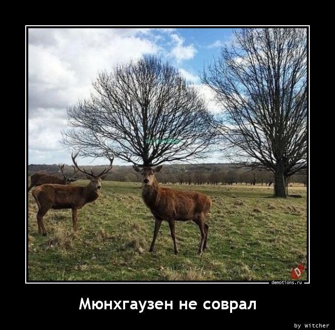 Мюнхгаузен не соврал