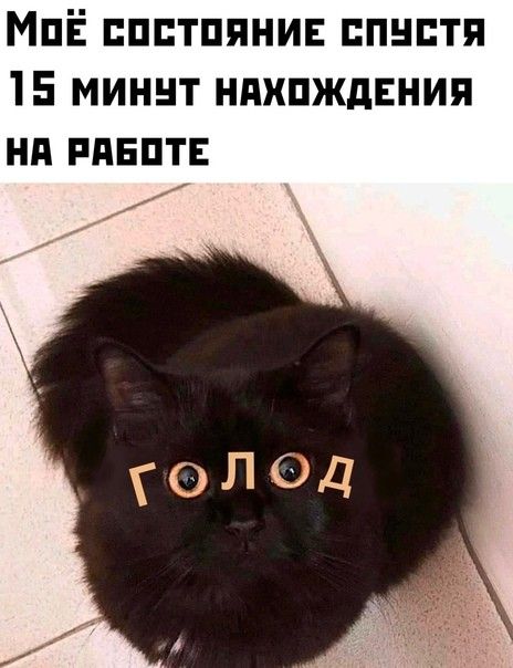 МПЁ ЕПБТПЯНИЕ ЕПНПТП 15 МИННТ НПХПЖдЕНИП Нд РПБПТЕ
