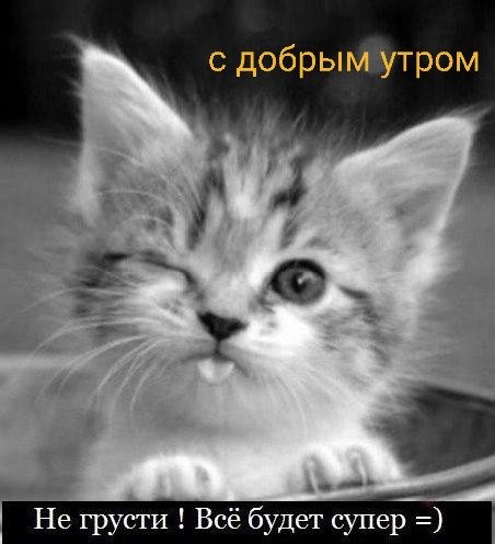 с добрым утром
