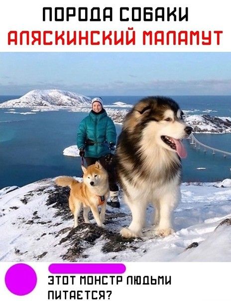 ППРПЦП ЕРЕПНН ЗТПТ ППНЕТР ПШПЬПЦ ПИТПЕТЕП
