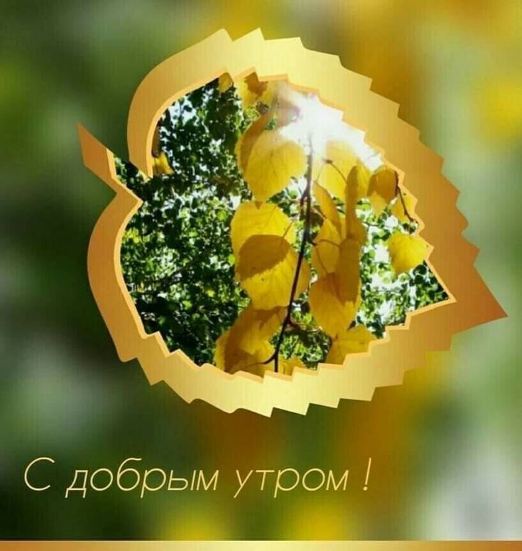 С добрым утром