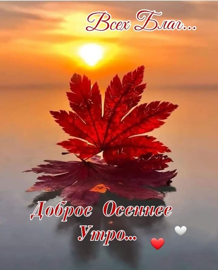 ЯЁКП 7