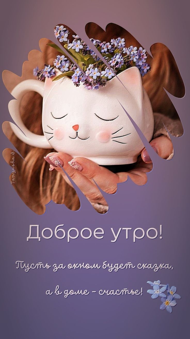 Доброе утро ТБЪ шіьэммь шдтгм ЁЁ