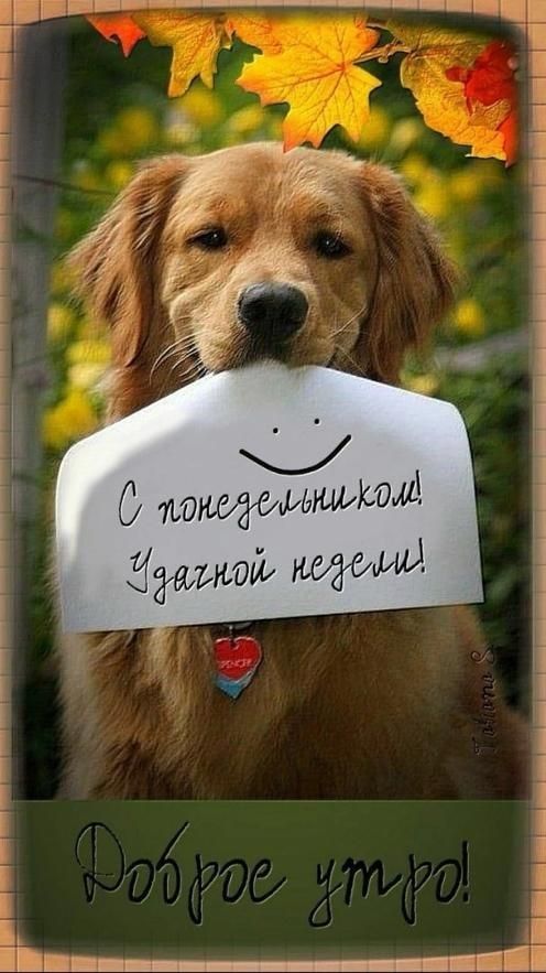 т діііц1і д00 7 тд 1 ОУ