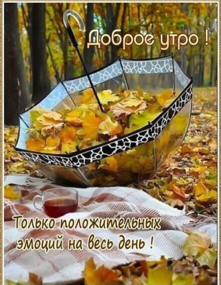 Добро_е утро во _ ТоАоко ИОАОЖЦМеАЪЦі