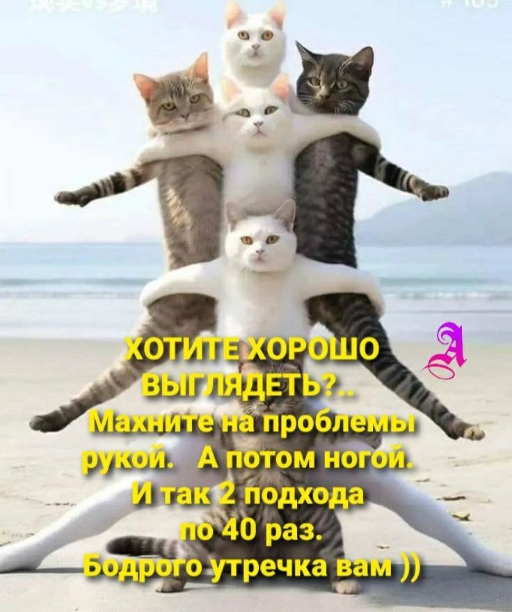 ай