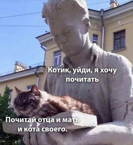 Коти уйди я хочу почитать ПочитайРтца и ма _ и ката своего _