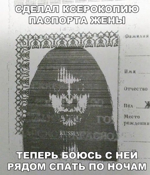 1ШШЕКФ ЖЁБПЫ п птчвство