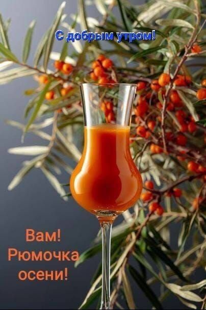 __ ВЭ МТ Ріомочкгд осени